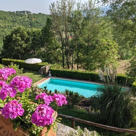Agriturismo Casentino - Fattoria Ventrina Martina 외부 사진
