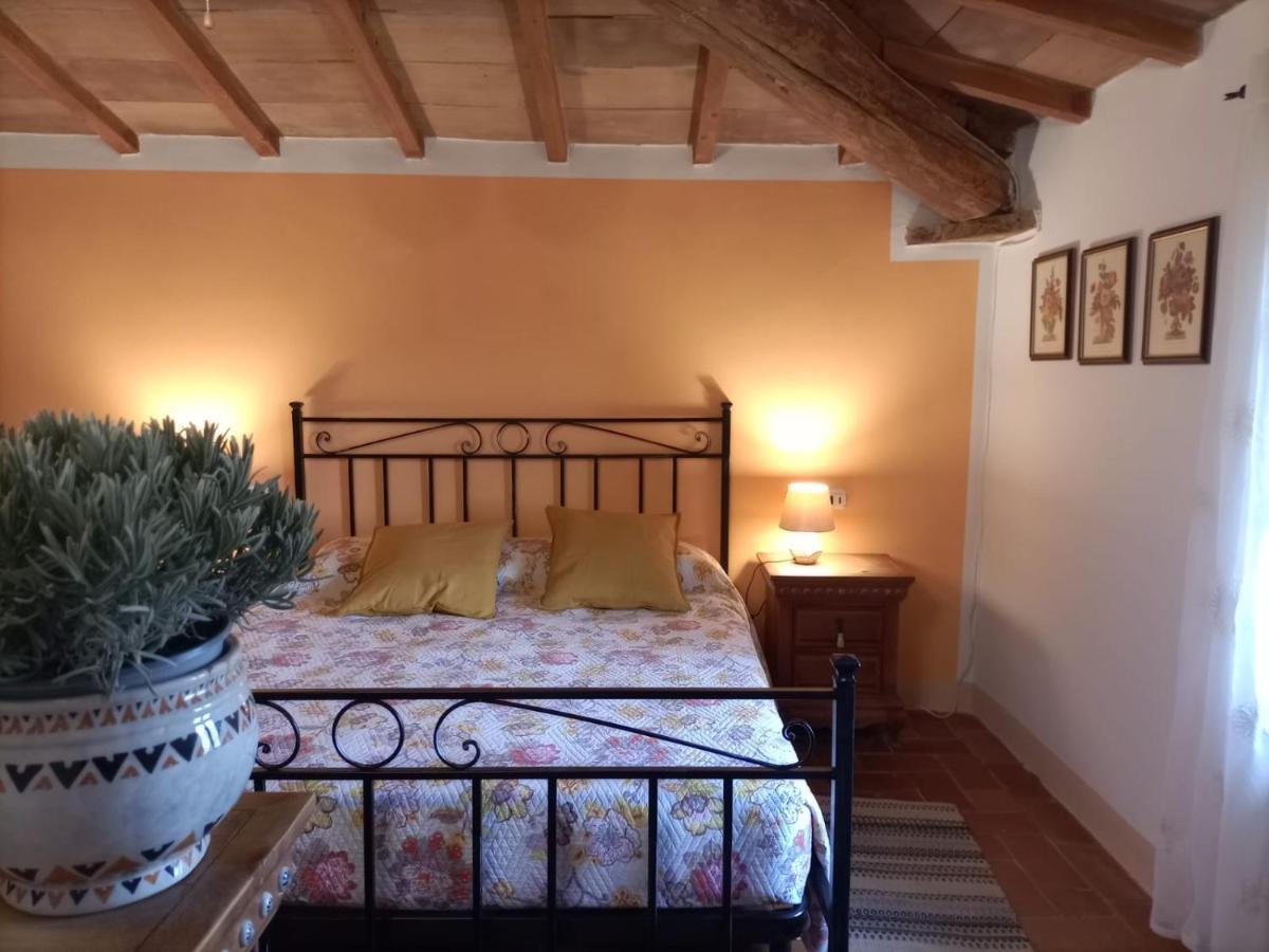Agriturismo Casentino - Fattoria Ventrina Martina 외부 사진