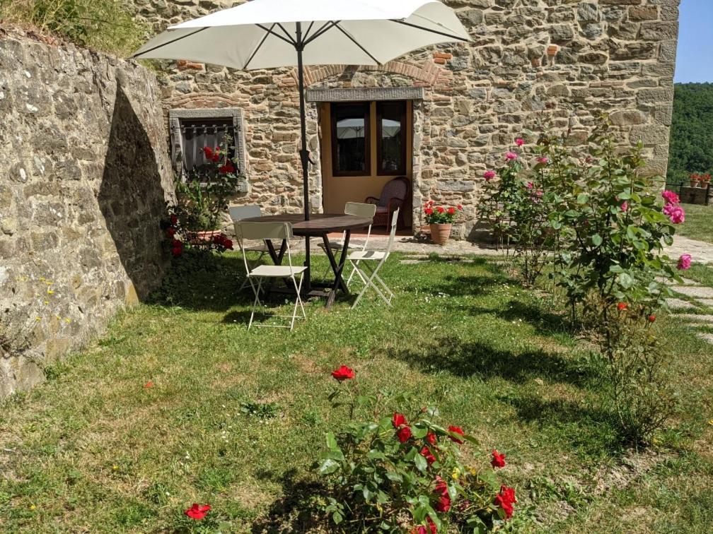 Agriturismo Casentino - Fattoria Ventrina Martina 외부 사진