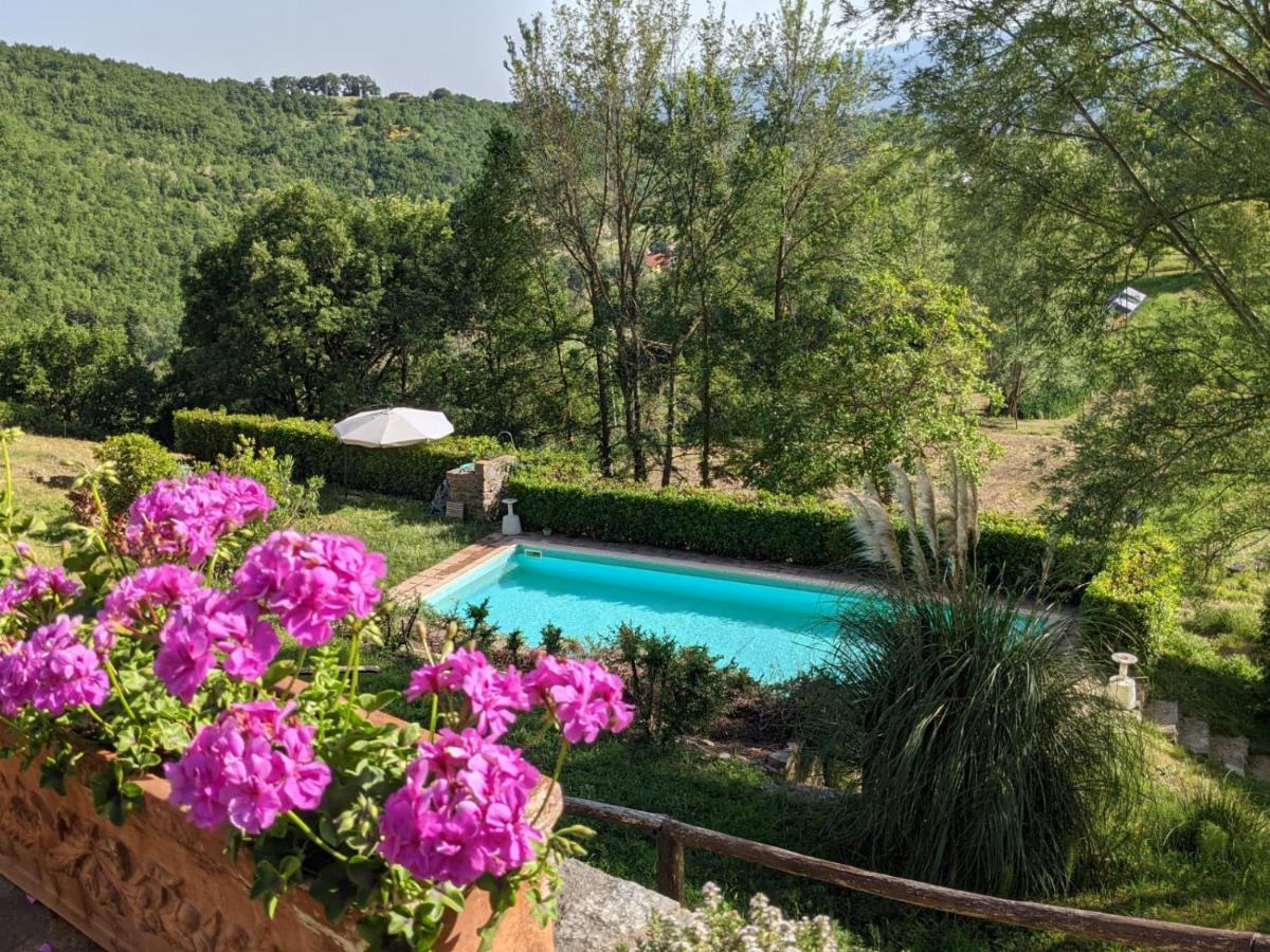 Agriturismo Casentino - Fattoria Ventrina Martina 외부 사진