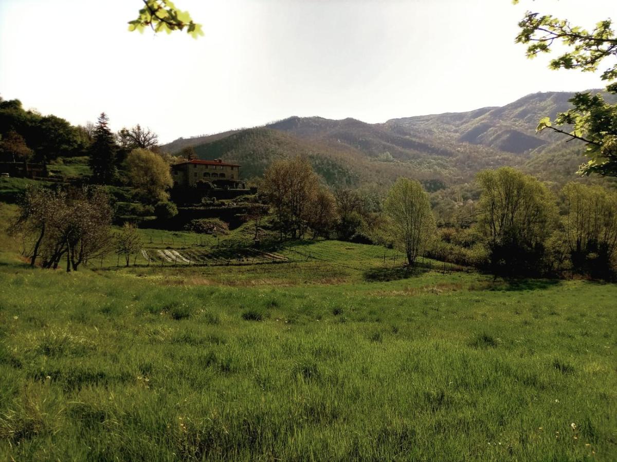 Agriturismo Casentino - Fattoria Ventrina Martina 외부 사진