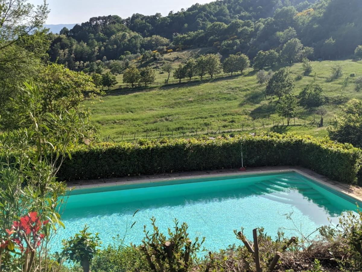 Agriturismo Casentino - Fattoria Ventrina Martina 외부 사진