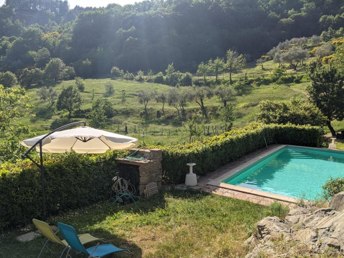 Agriturismo Casentino - Fattoria Ventrina Martina 외부 사진