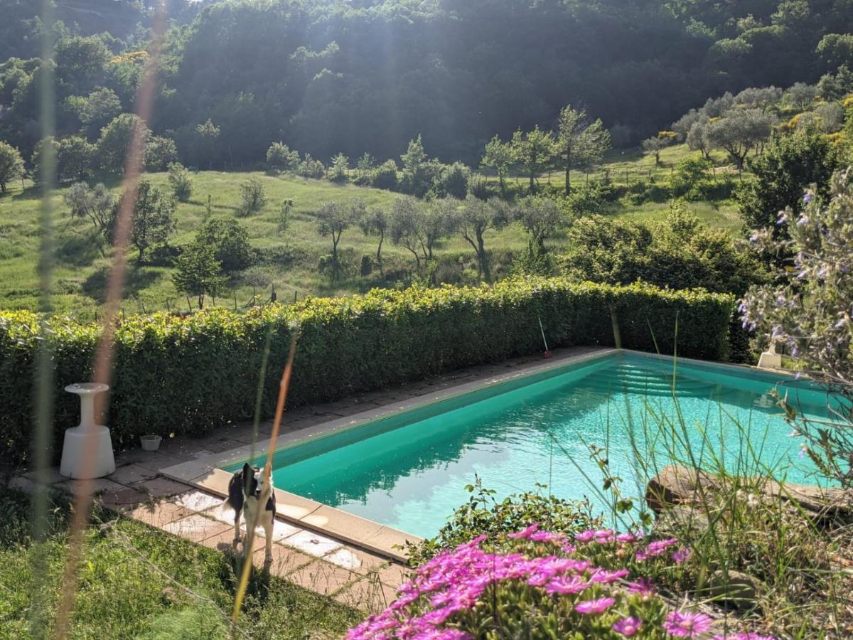 Agriturismo Casentino - Fattoria Ventrina Martina 외부 사진