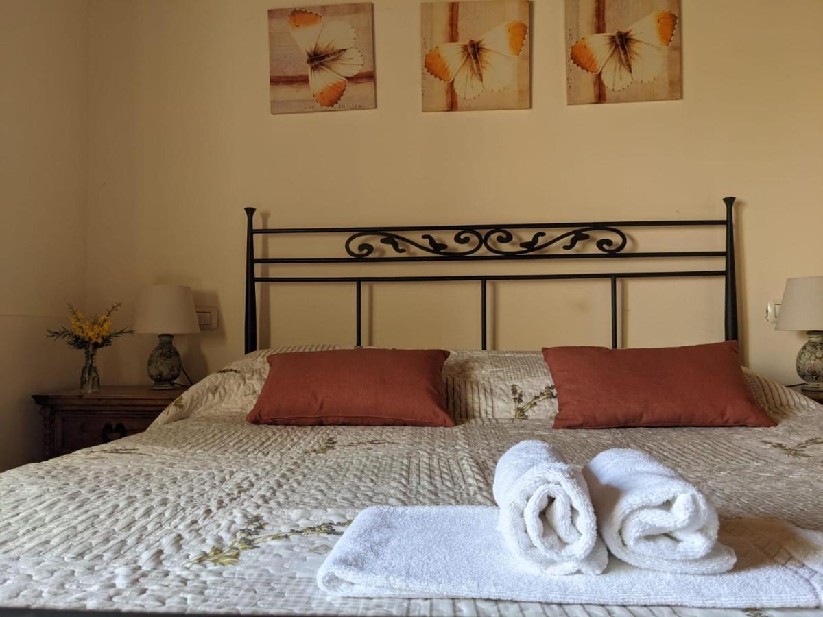 Agriturismo Casentino - Fattoria Ventrina Martina 외부 사진