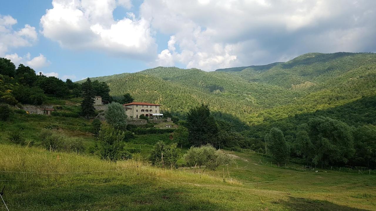 Agriturismo Casentino - Fattoria Ventrina Martina 외부 사진